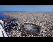 Lixo no Mar do Caribe (13)