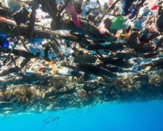 Lixo no Mar do Caribe (14)