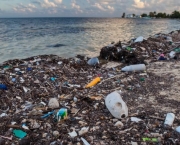 Lixo no Mar do Caribe (15)