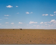 maiores-desertos-do-mundo-11