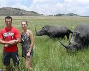 matanca-de-rinocerontes-na-africa-do-sul-12
