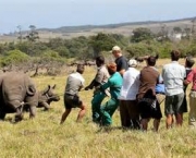 matanca-de-rinocerontes-na-africa-do-sul-16