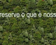 meio-ambiente-e-desenvolvimento-sustentavel-2