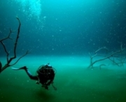 Mistérios do Fundo do Mar - Fotos (4)