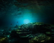 Mistérios do Fundo do Mar - Fotos (13)