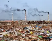 Nova Deli do Paraíso Turístico à Poluição (7)