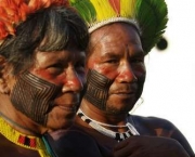 O Cenário Indígena no Brasil (4)