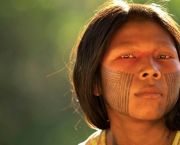 O Cenário Indígena no Brasil (6)
