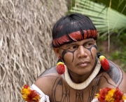 O Cenário Indígena no Brasil (7)