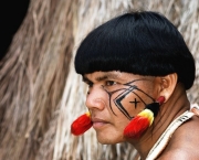 O Cenário Indígena no Brasil (9)