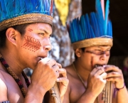 O Cenário Indígena no Brasil (13)