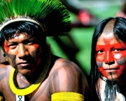 O Cenário Indígena no Brasil (14)