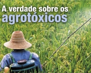 o-perigo-dos-agrotoxicos-15
