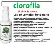 o-que-e-clorofila-9