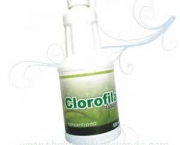 o-que-e-clorofila-11