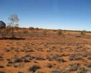 outback-australiano-mistico-e-selvagem-13