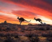 outback-australiano-mistico-e-selvagem-2
