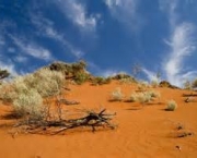 outback-australiano-mistico-e-selvagem-4