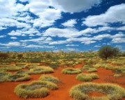 outback-australiano-mistico-e-selvagem-5