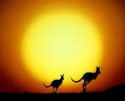 outback-australiano-mistico-e-selvagem-6