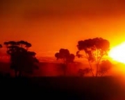 outback-australiano-mistico-e-selvagem-9