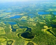 pantanal-mato-grossense-6