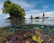 Papua Nova Guiné - Recursos Naturais (5)