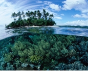 Papua Nova Guiné - Recursos Naturais (7)