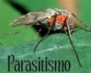 parasitismo-5