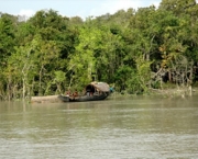 parque-nacional-dos-sundarbans-3