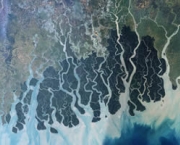 parque-nacional-dos-sundarbans-4