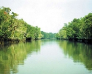 parque-nacional-dos-sundarbans-6