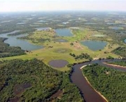 pastagens-do-pantanal-10