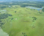 pastagens-do-pantanal-3
