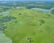 pastagens-do-pantanal-6
