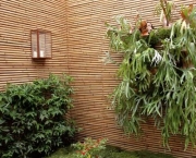 plantacao-bambu-9