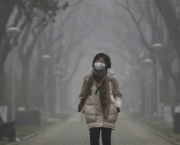 Poluição Atmosférica (9)