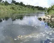 Poluição dos Rios (4)