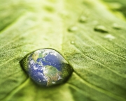 praticas-de-sustentabilidade-para-um-mundo-melhor-6