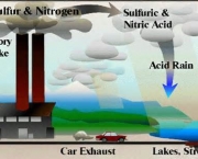 principais-efeitos-da-poluicao-atmosferica-11