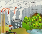 principais-efeitos-da-poluicao-atmosferica-13