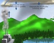 principais-efeitos-da-poluicao-atmosferica-14