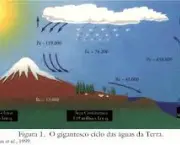 principios-ambientais-e-sociais-de-origem-13