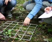 Princípios Básicos da Ecologia (13)