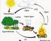 producao-industrial-dioxido-de-carbono-6