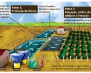 Programa Água Doce (6)