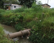 programa-de-despoluicao-ambiental-1