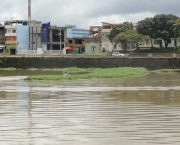 programa-de-despoluicao-ambiental-15