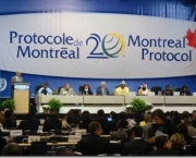 protocolo-de-montreal-7
