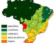 quais-os-biomas-brasileiros-1